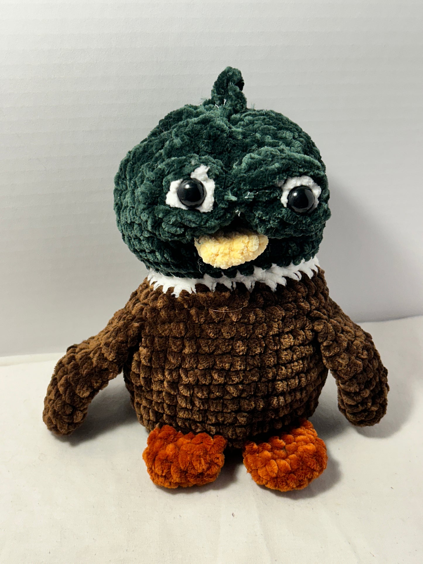 Mallard Suspicious Duck