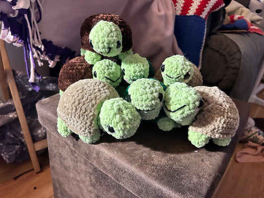 Turtle dress up- turtles