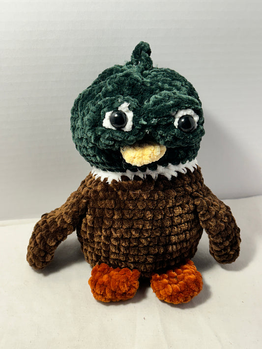 Mallard Suspicious Duck