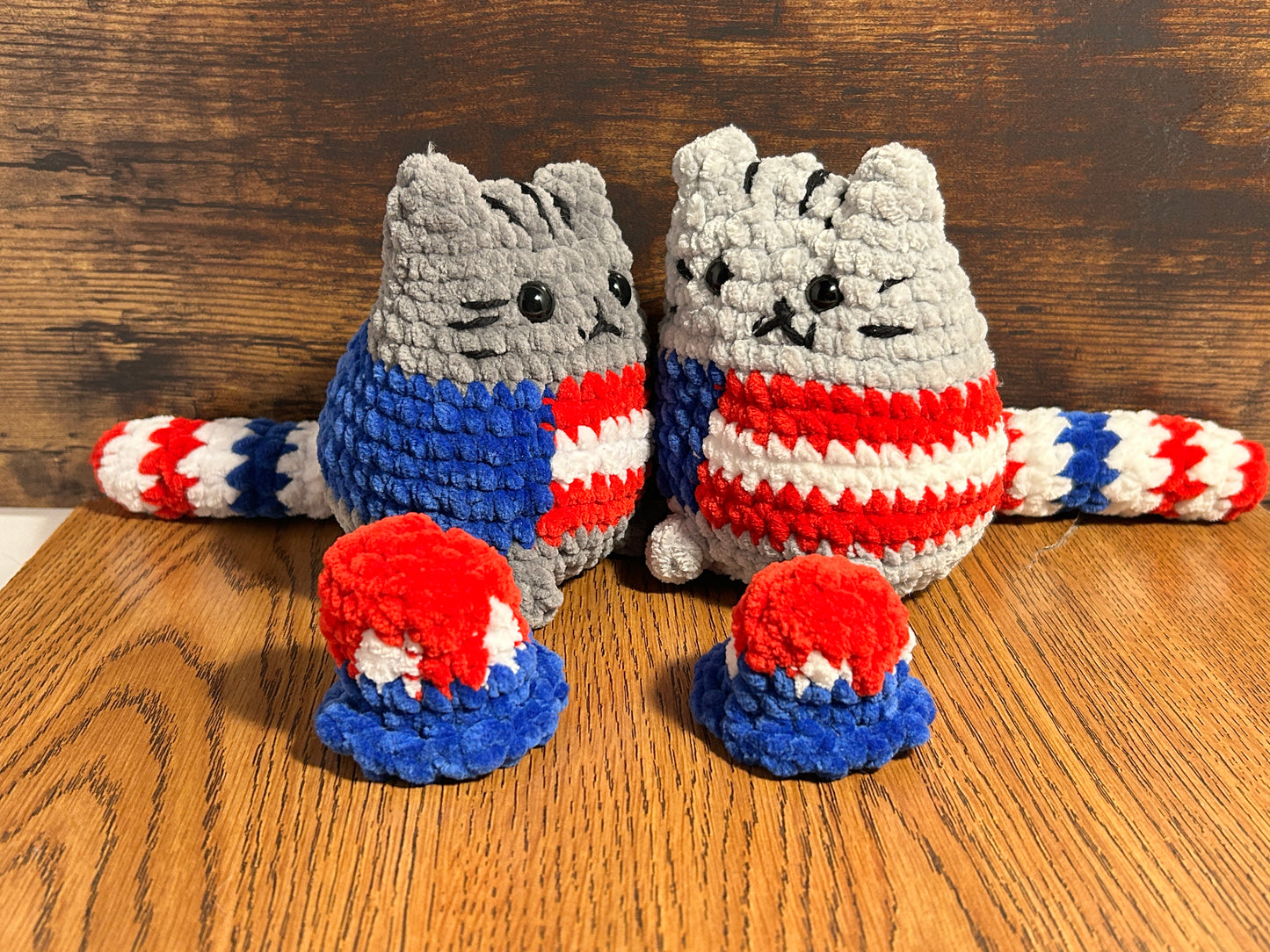 Patriotic cat